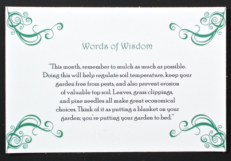 Jade Canopy words of wisdom