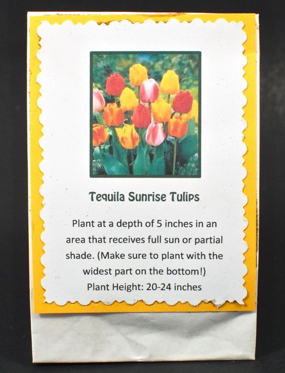 tequila sunrise bulbs