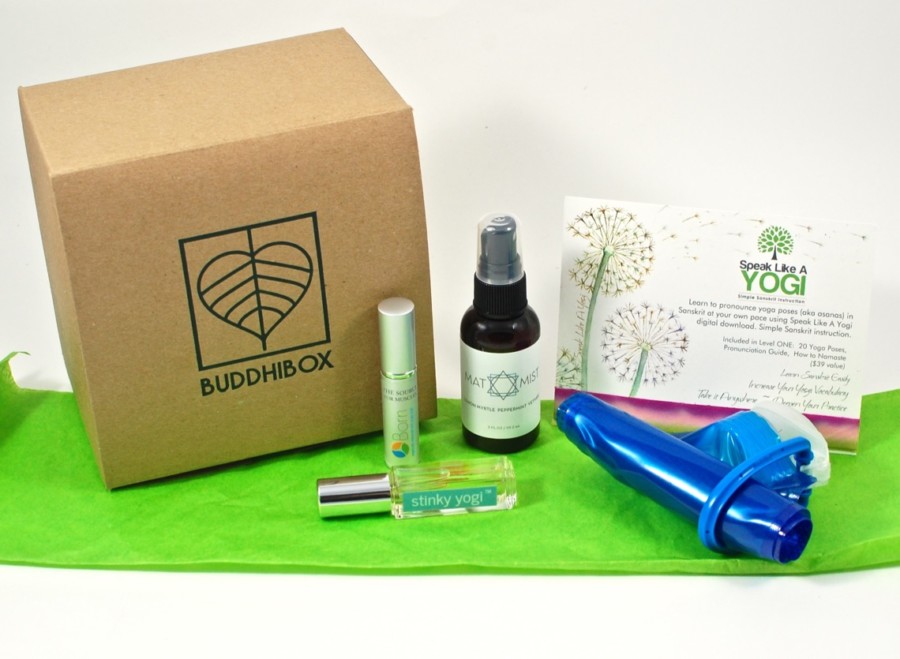 November 2015 Buddhibox