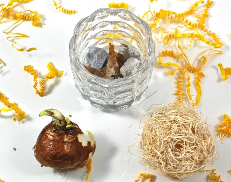 bulb with votive