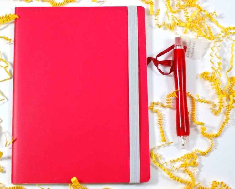 journal & pen