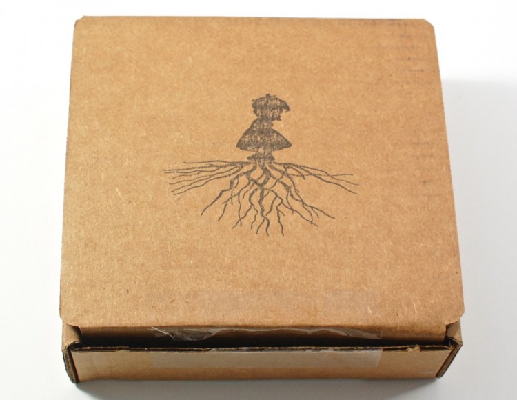 Our Little Roots box