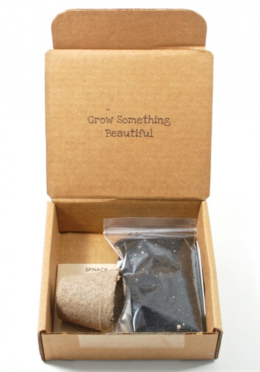 Our Little Roots box