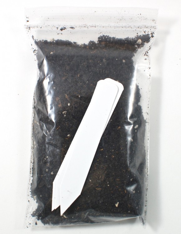organic soil