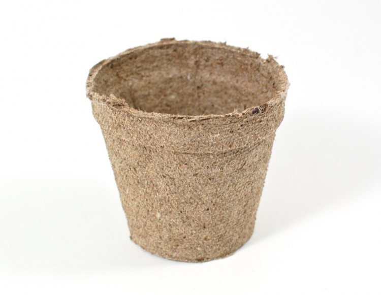 peat pot