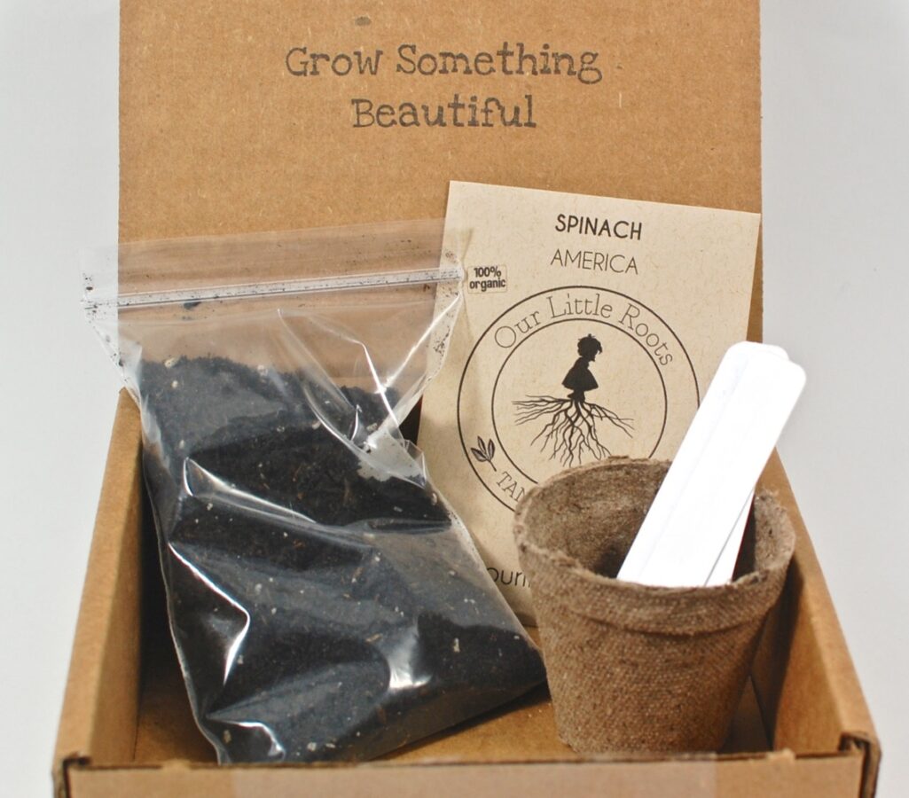 December 2015 Our Little Roots box