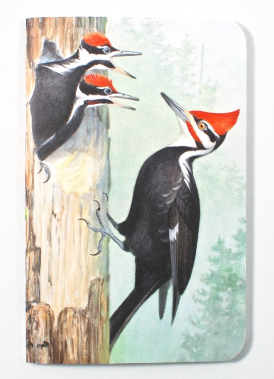 Good Nature notebook