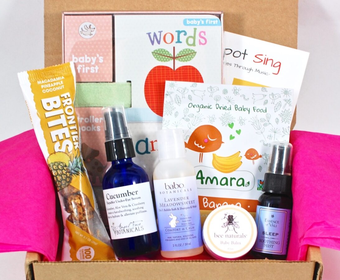 Ecocentric Mom November December 2015 review