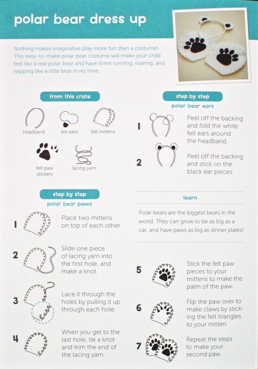 Koala Crate polar bear 