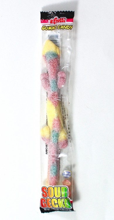 gummy gecko