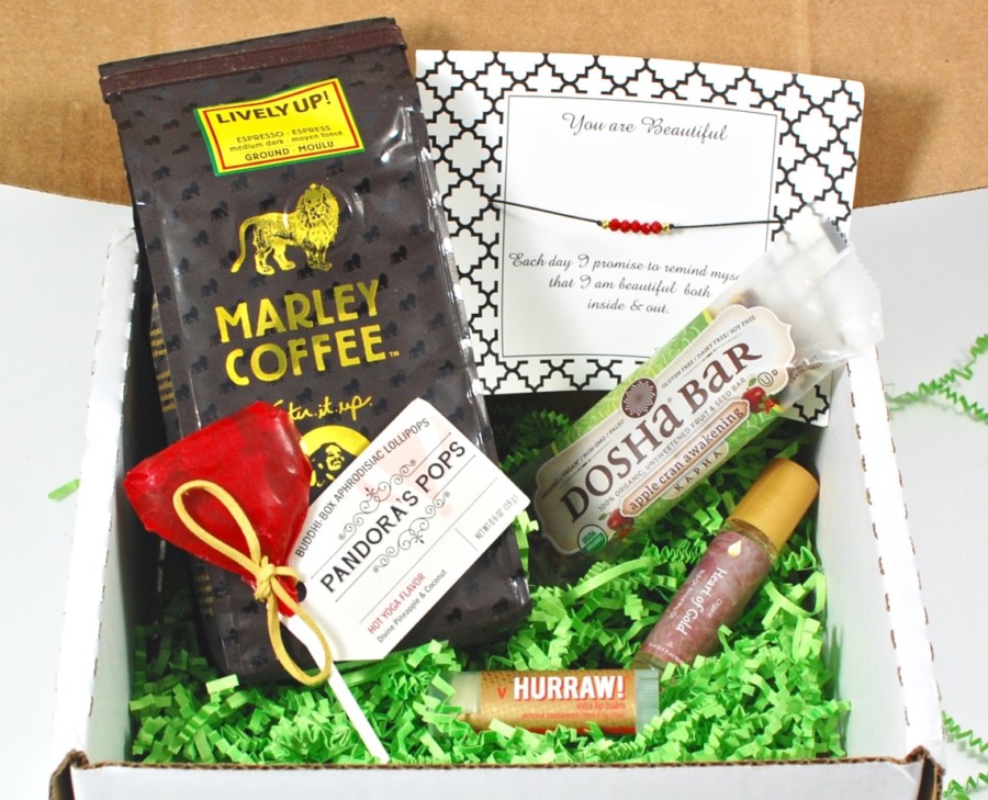 February 2016 BuddhiBox review