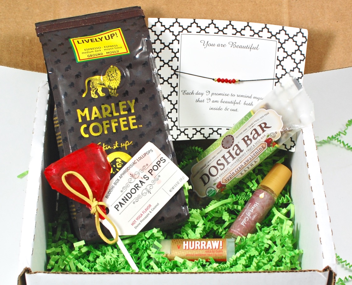 February 2016 BuddhiBox review