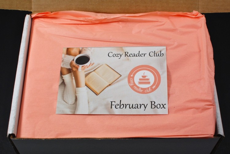Cozy Reader Club box