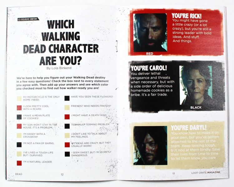 Loot Crate mini mag