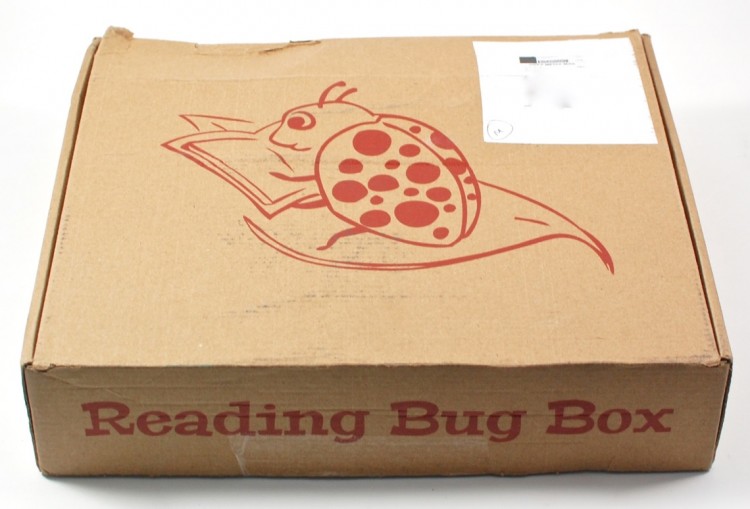 Reading Bug Box