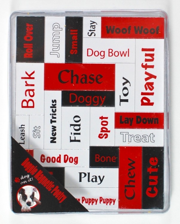 magnetic words