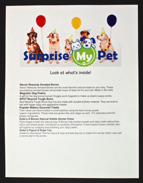 February 2016 Surprise My Pet review