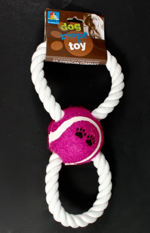 dog toy