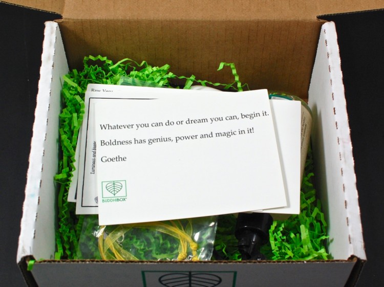 March 2016 BuddhiBox