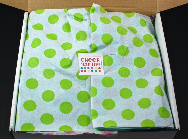 cheer-em-up-box-march-2016 - 3