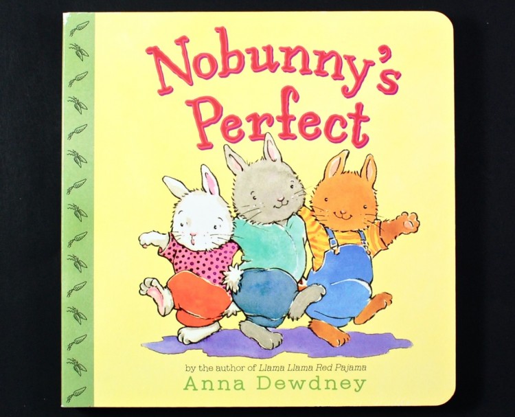 Nobunny's Perfect book