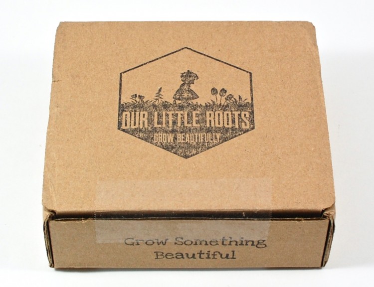 Our Little Roots box