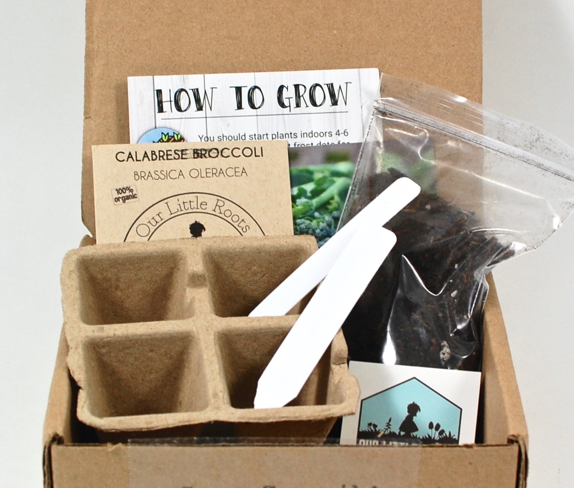 Our Little Roots February review