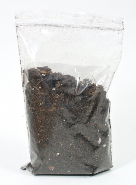 organic soil