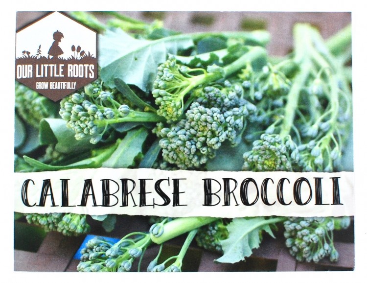 Our Little Roots broccoli