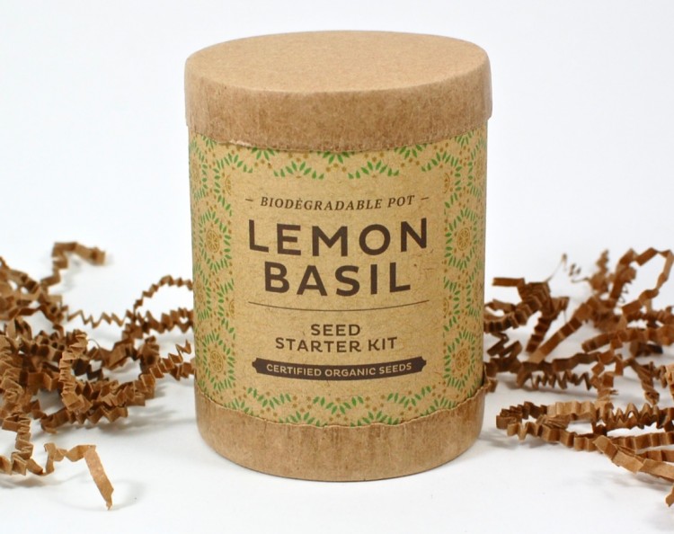 Lemon Basil LLB