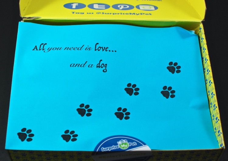 Surprise My Pet box review