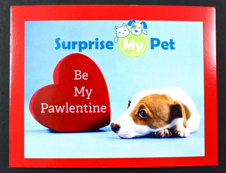 Surprise My Pet review