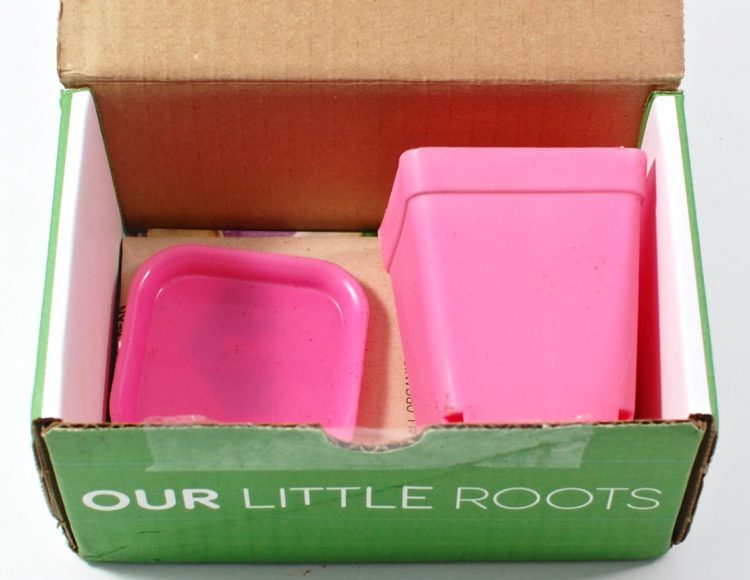 Our Little Roots review