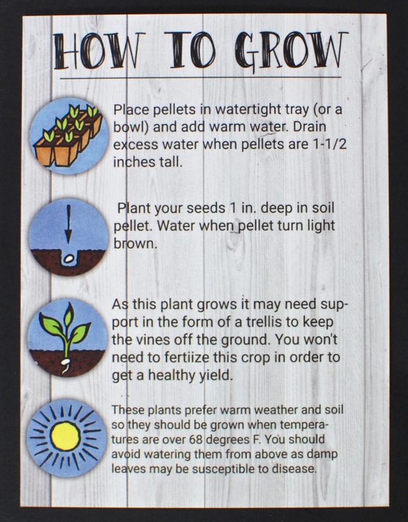 our-little-roots-april-2016 - 6