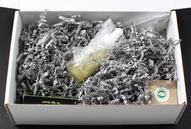 Benevolent Beauty Box review