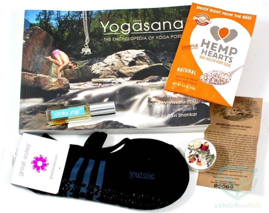 May 2016 BuddhiBox review