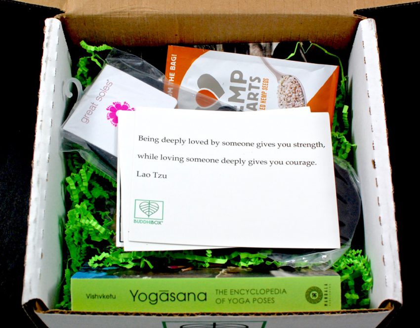 Buddhibox may 2016 review