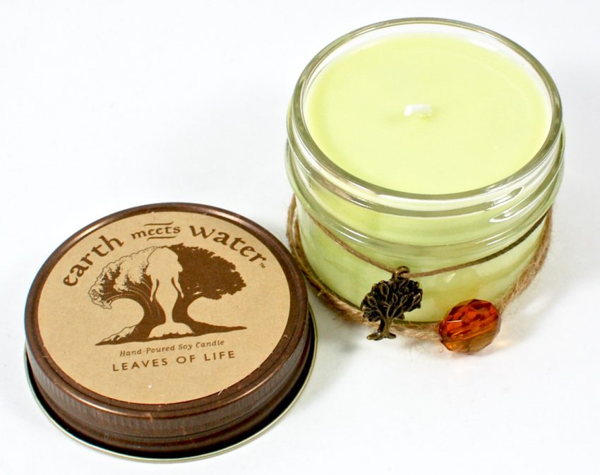 Earth Meets Water soy candle