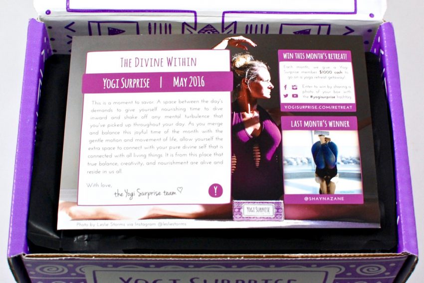 Yogi Surprise review