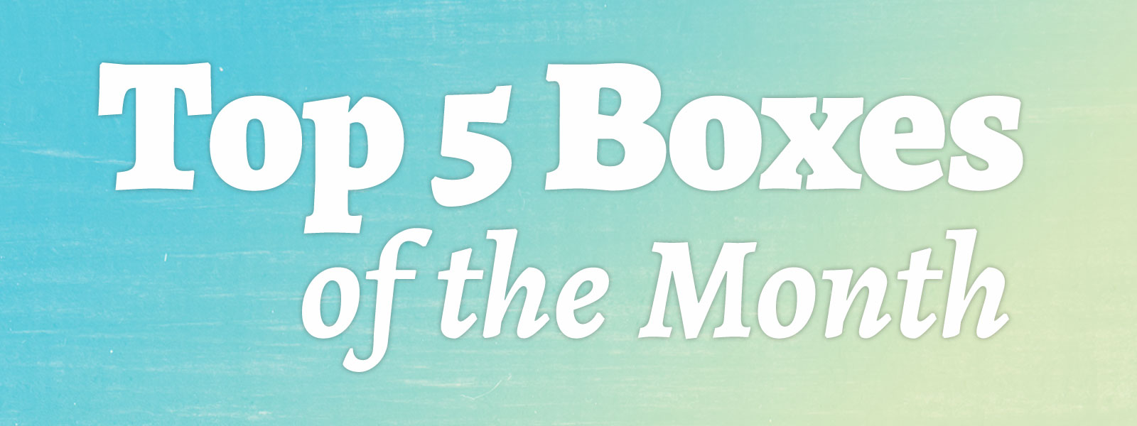 Top 5 Subscription Boxes of the Month