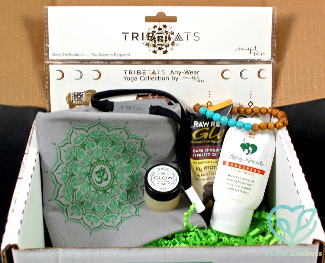 June 2016 Buddhibox review