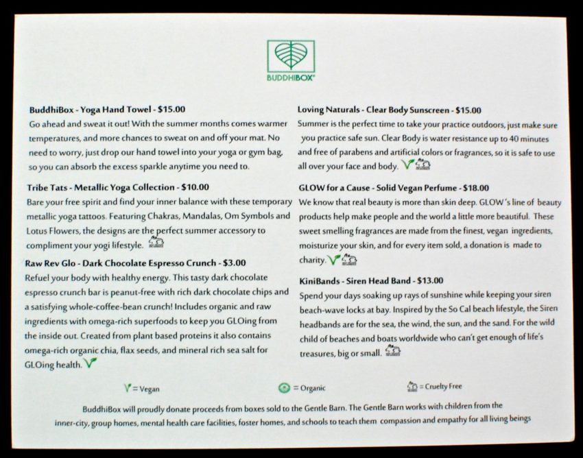 June 2016 Buddhibox review