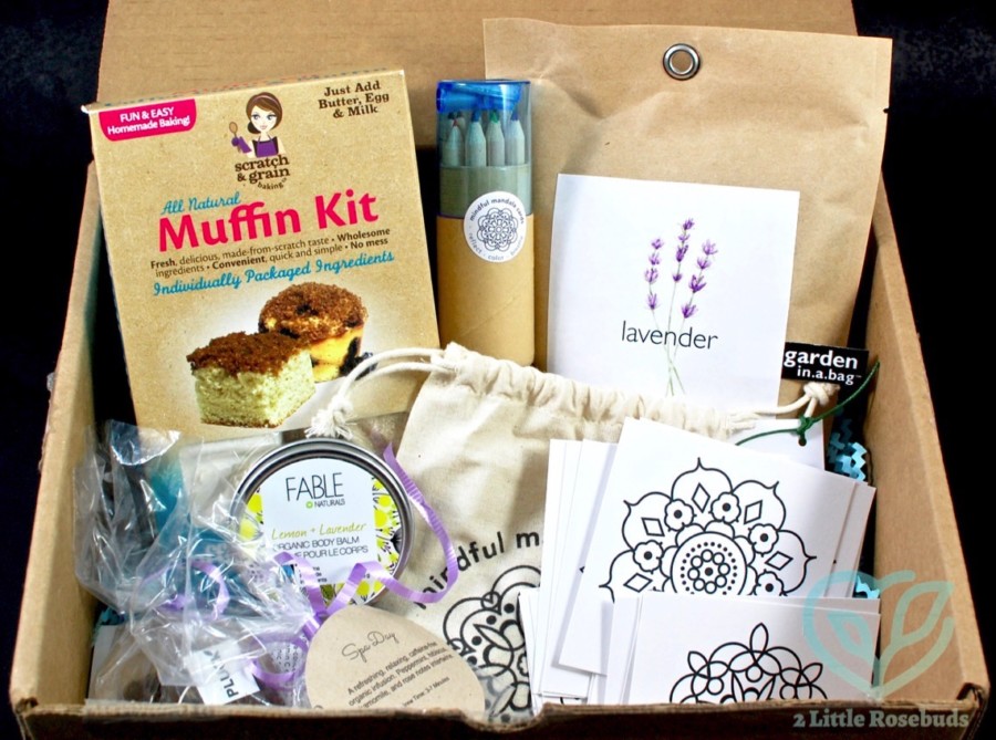 June 2016 Caring Crate review
