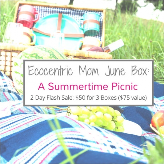 Ecocentric Mom coupon