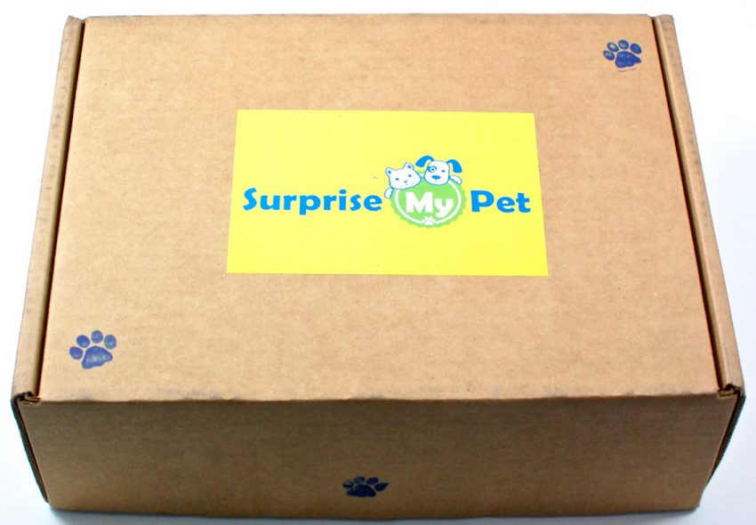 Surprise My Pet review