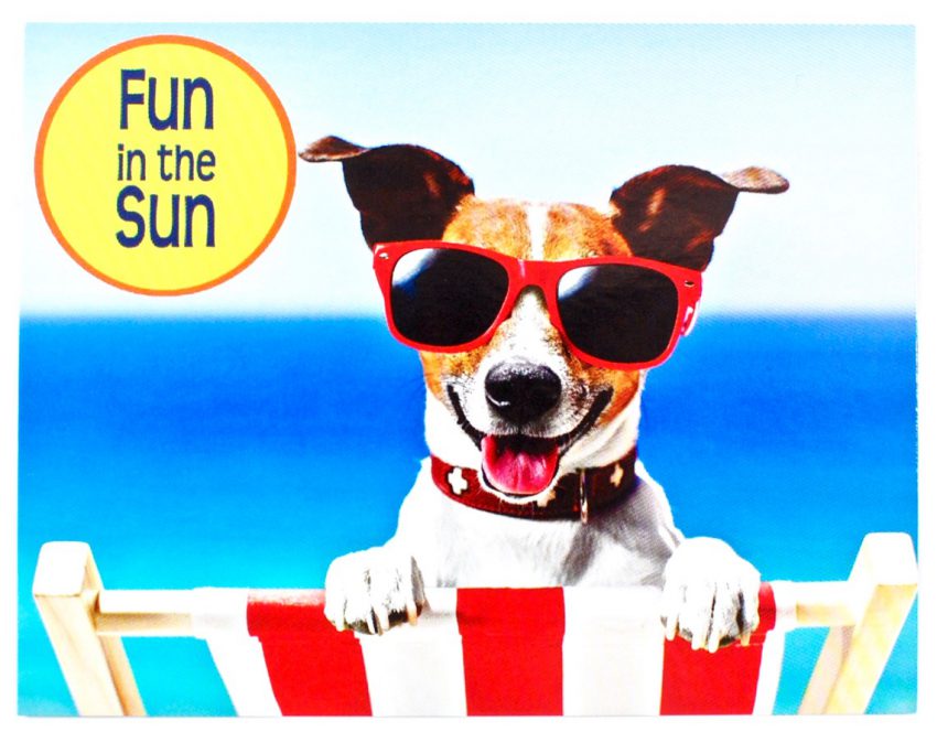 May 2016 Surprise My Pet review