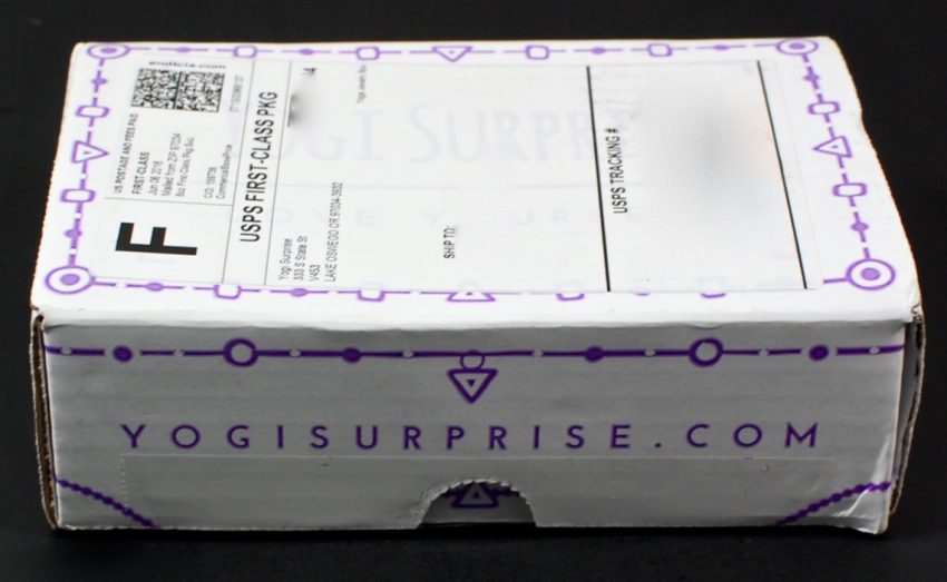Yogi Surprise review