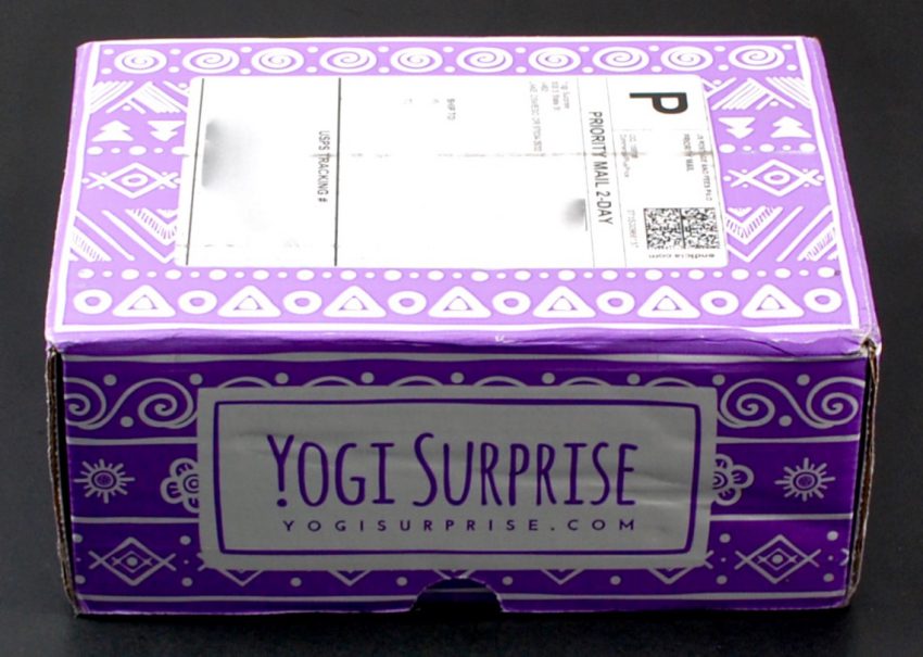 Yogi Surprise review