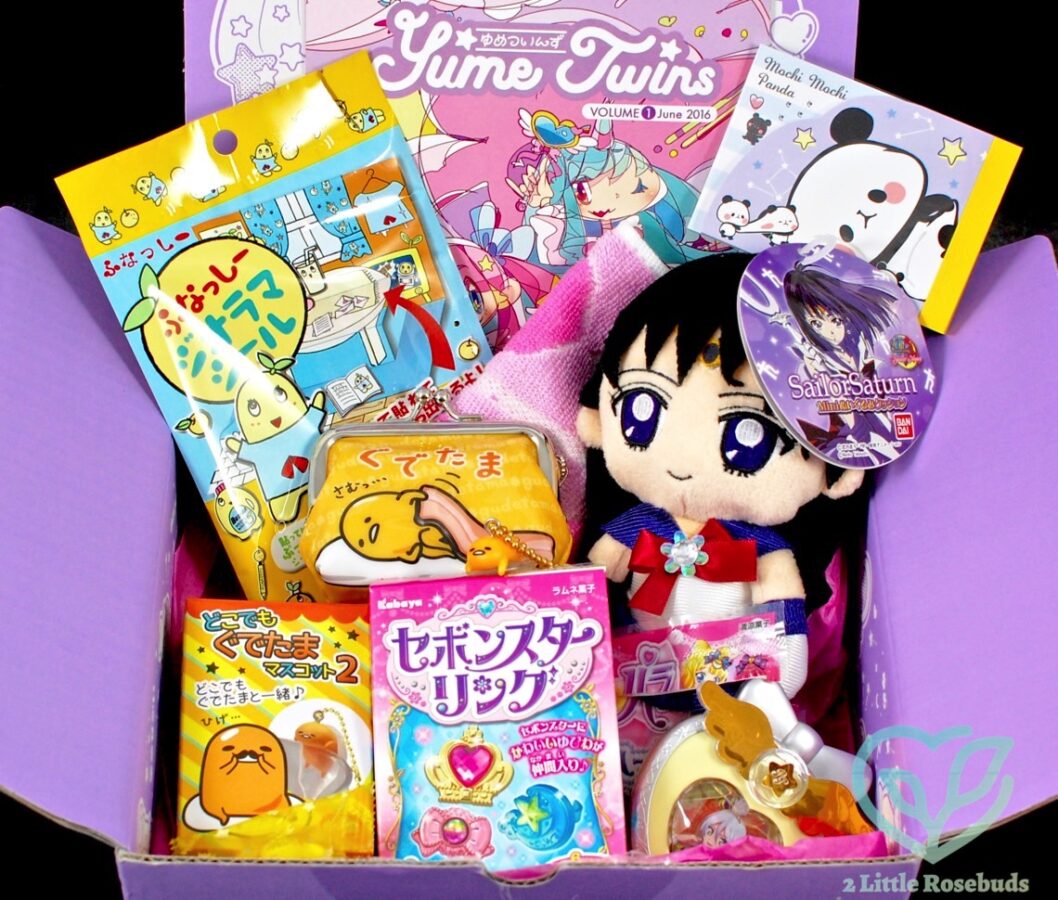 June 2016 YumeTwins review