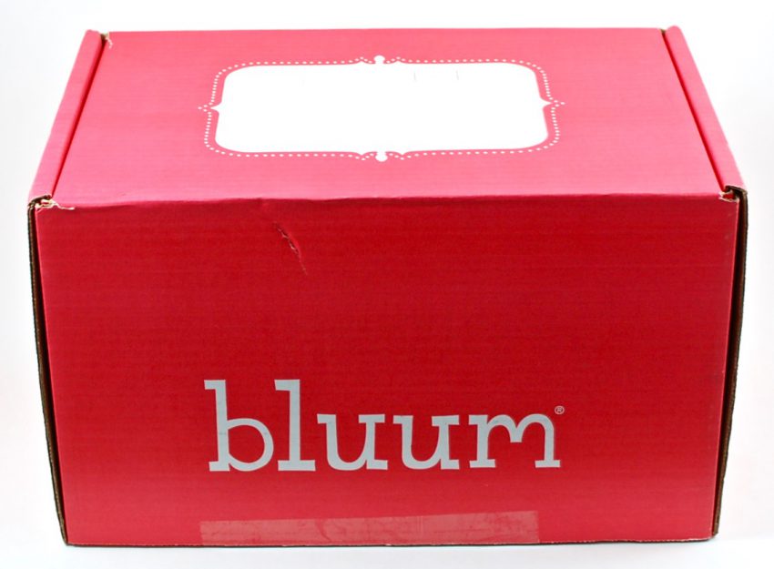 bluum review